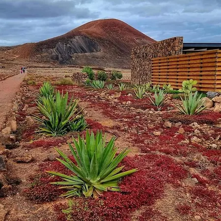 度假居 Duplex Casa Maya By Interhome 科斯塔卡莱塔