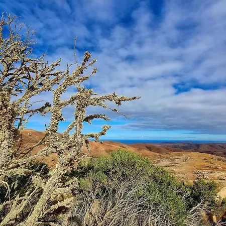Duplex Casa Maya By Interhome 科斯塔卡莱塔