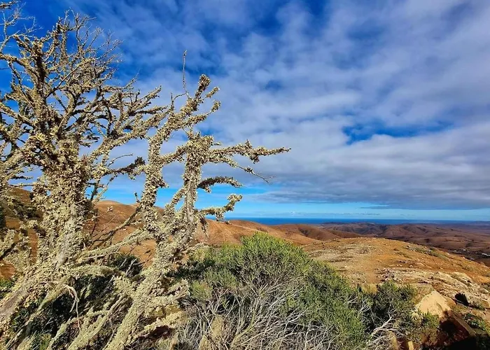 Duplex Casa Maya By Interhome Caleta De Fuste