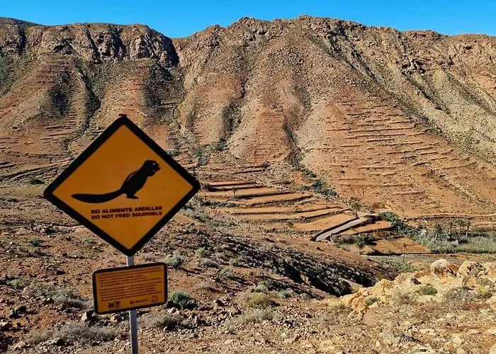 Holiday home Duplex Casa Maya By Interhome